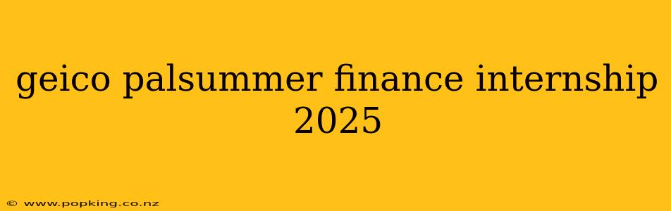 geico palsummer finance internship 2025