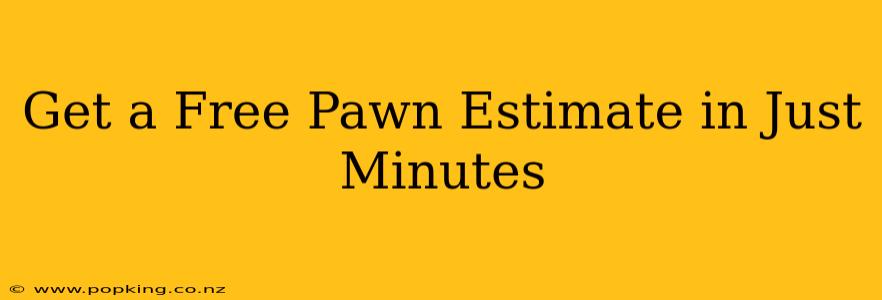 Get a Free Pawn Estimate in Just Minutes