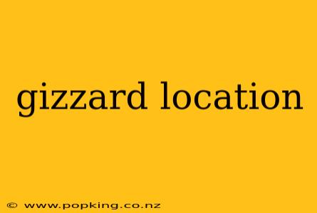 gizzard location