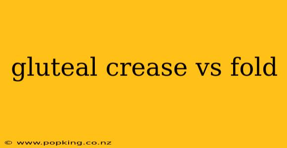 gluteal crease vs fold