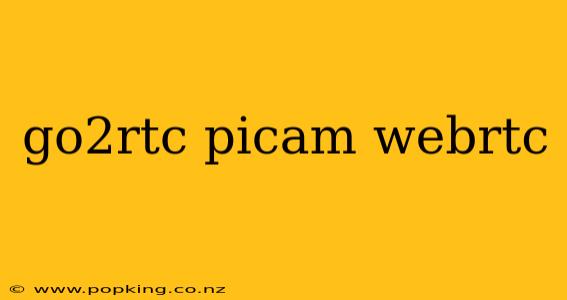go2rtc picam webrtc