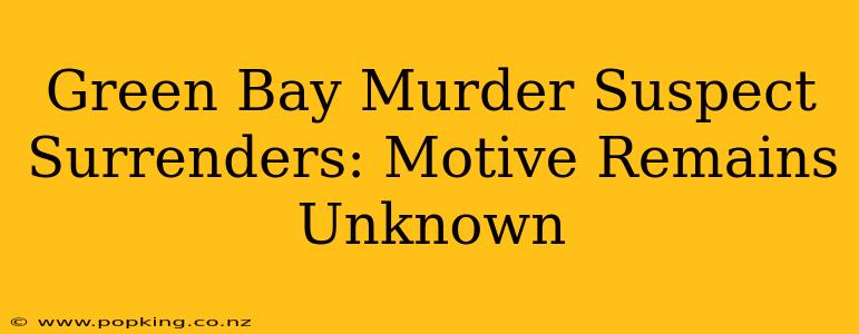 Green Bay Murder Suspect Surrenders: Motive Remains Unknown