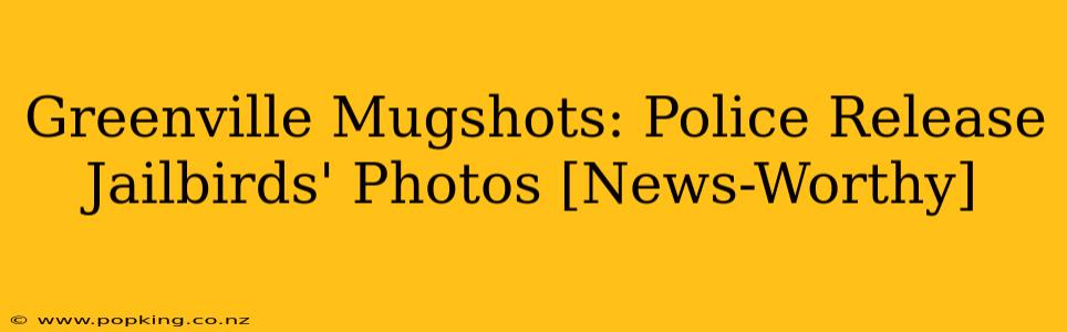 Greenville Mugshots: Police Release Jailbirds' Photos [News-Worthy]