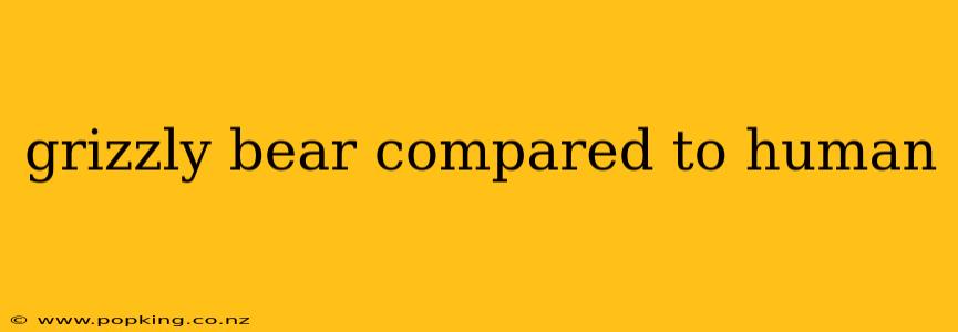 grizzly bear compared to human