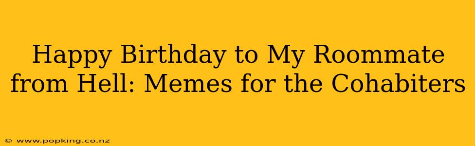 Happy Birthday to My Roommate from Hell: Memes for the Cohabiters