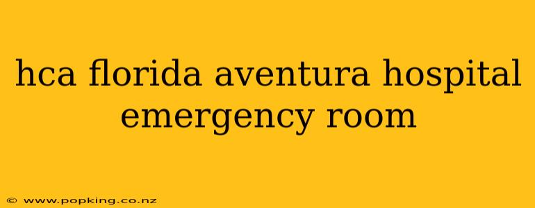hca florida aventura hospital emergency room