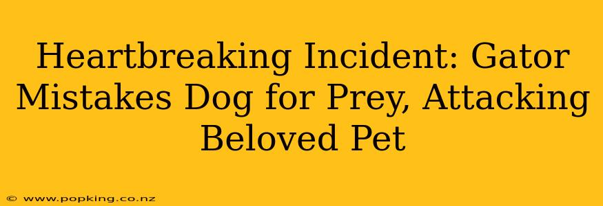 Heartbreaking Incident: Gator Mistakes Dog for Prey, Attacking Beloved Pet