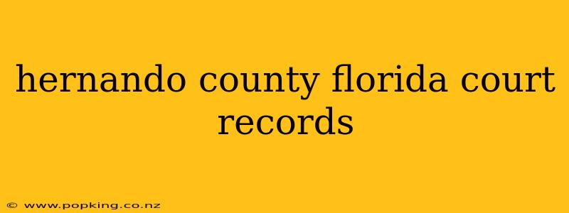 hernando county florida court records
