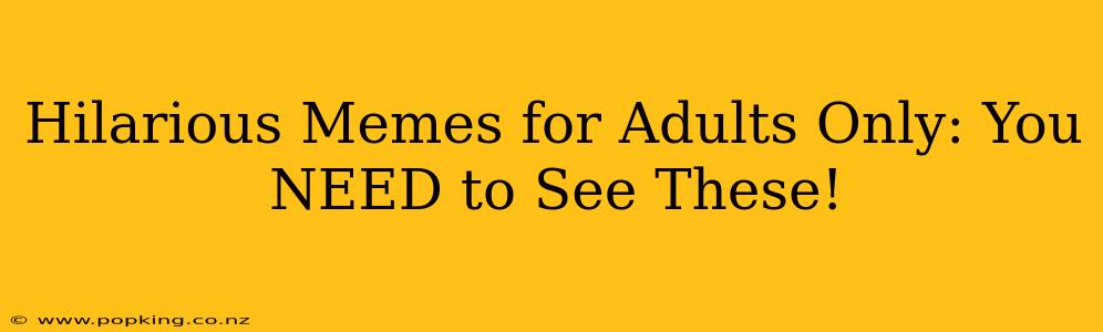 Hilarious Memes for Adults Only: You NEED to See These!