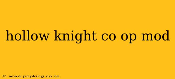 hollow knight co op mod
