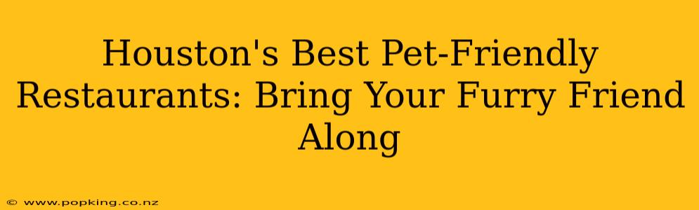 Houston's Best Pet-Friendly Restaurants: Bring Your Furry Friend Along