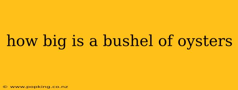 how big is a bushel of oysters