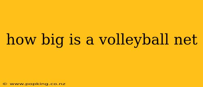 how big is a volleyball net