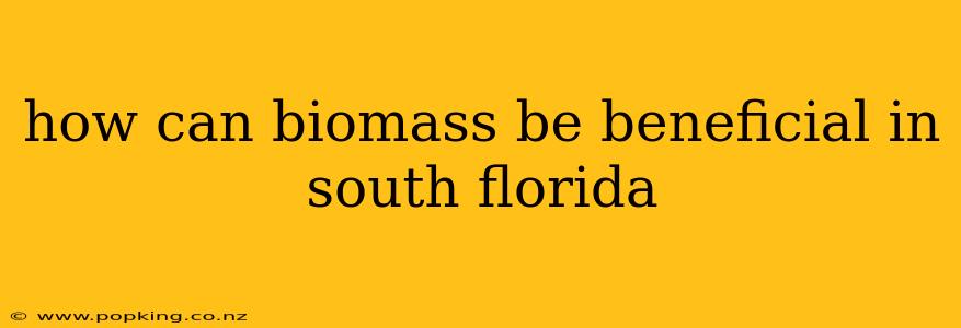 how can biomass be beneficial in south florida