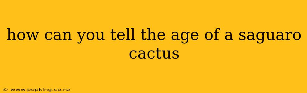 how can you tell the age of a saguaro cactus