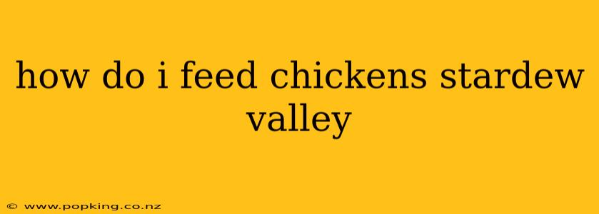 how do i feed chickens stardew valley