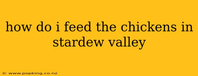 how do i feed the chickens in stardew valley