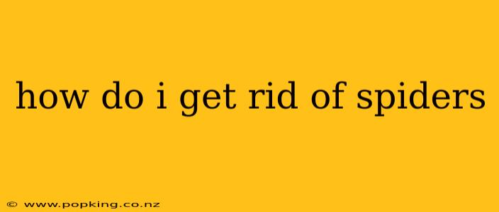 how do i get rid of spiders
