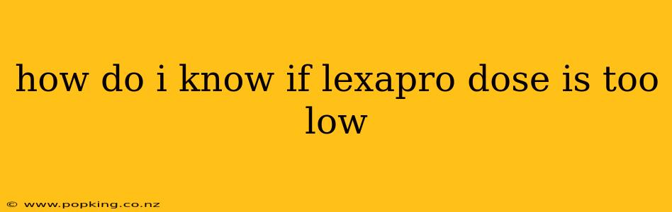 how do i know if lexapro dose is too low