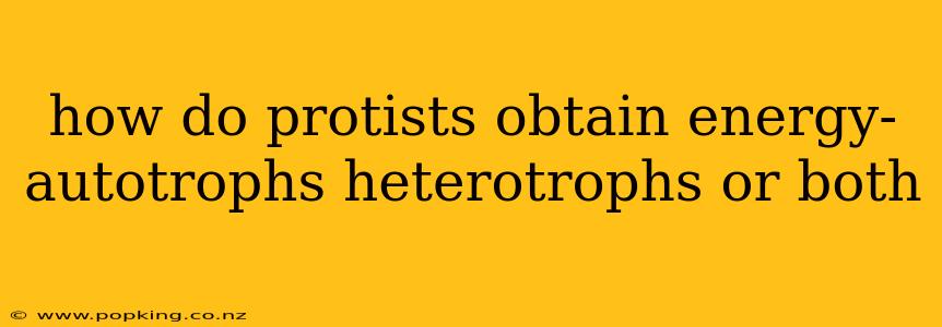 how do protists obtain energy- autotrophs heterotrophs or both