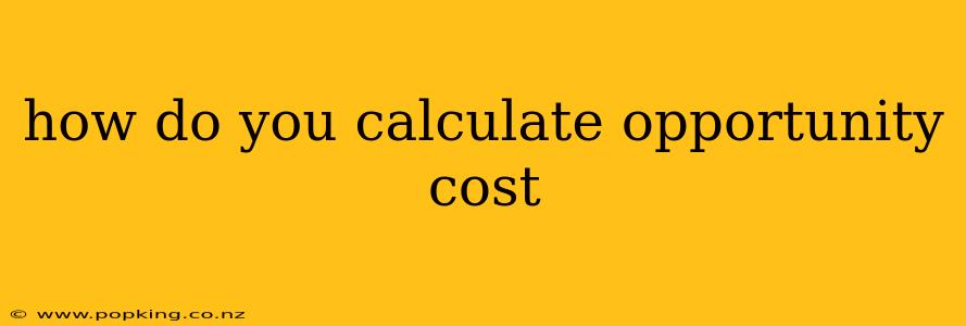 how do you calculate opportunity cost