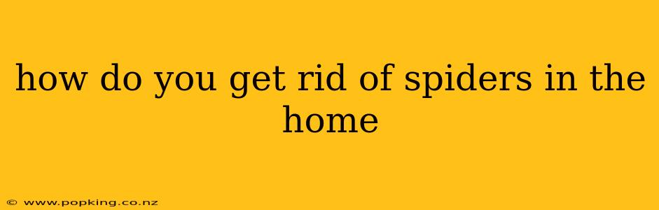 how do you get rid of spiders in the home