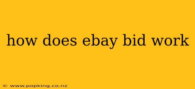 how does ebay bid work