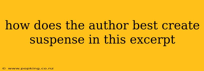 how does the author best create suspense in this excerpt