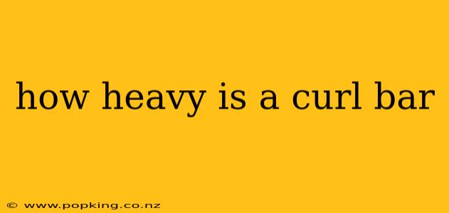 how heavy is a curl bar