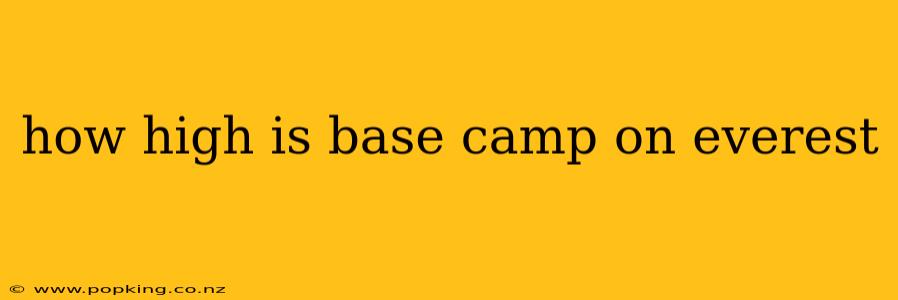 how high is base camp on everest
