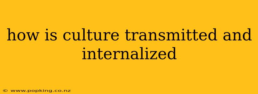 how is culture transmitted and internalized