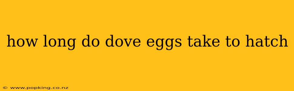 how long do dove eggs take to hatch