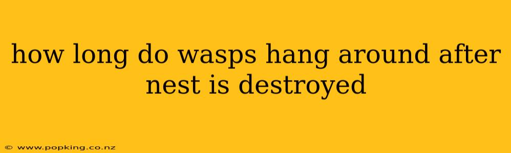 how long do wasps hang around after nest is destroyed