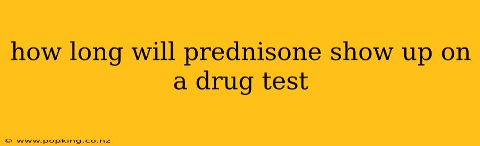 how long will prednisone show up on a drug test