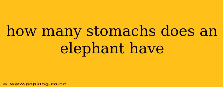 how many stomachs does an elephant have