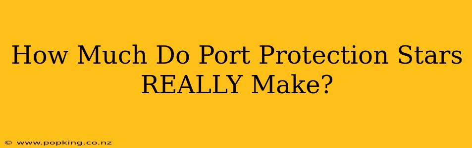 How Much Do Port Protection Stars REALLY Make?