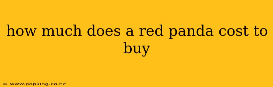 how much does a red panda cost to buy