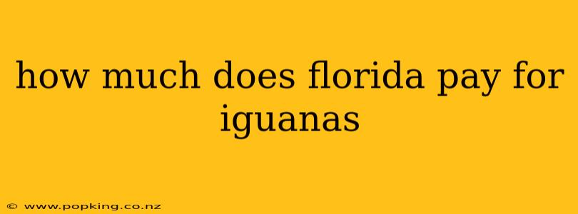 how much does florida pay for iguanas
