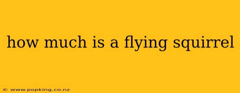 how much is a flying squirrel