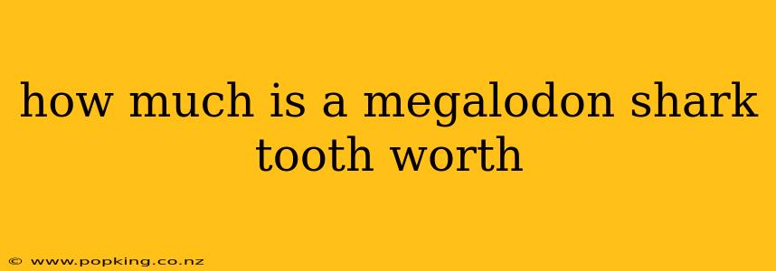 how much is a megalodon shark tooth worth