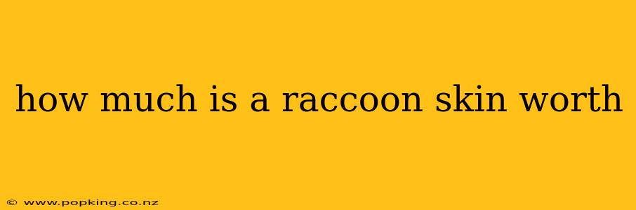 how much is a raccoon skin worth