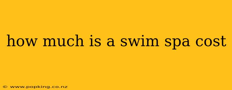 how much is a swim spa cost