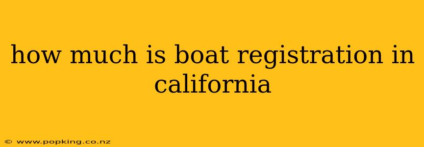 how much is boat registration in california