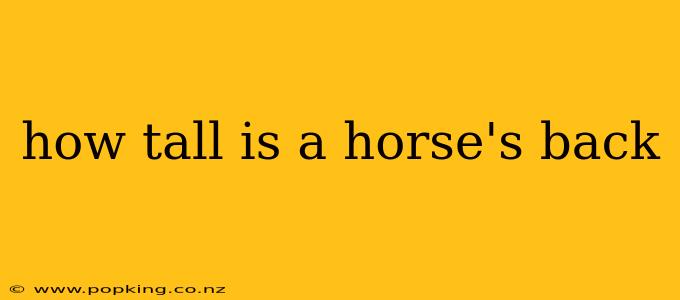how tall is a horse's back