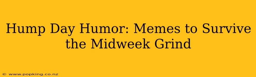Hump Day Humor: Memes to Survive the Midweek Grind
