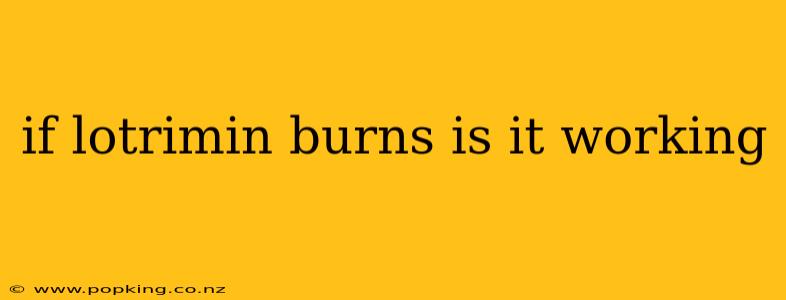 if lotrimin burns is it working