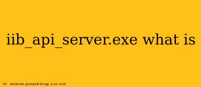 iib_api_server.exe what is