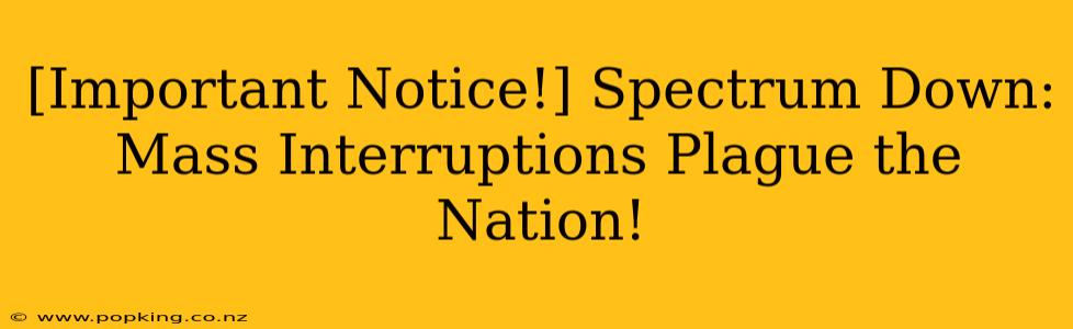 [Important Notice!] Spectrum Down: Mass Interruptions Plague the Nation!