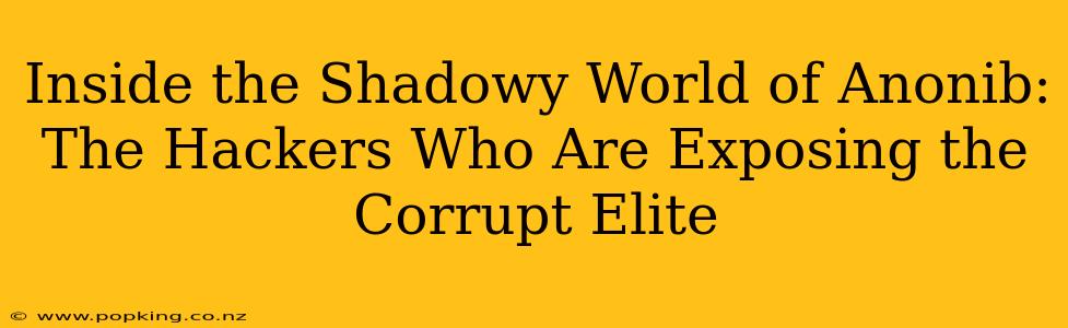 Inside the Shadowy World of Anonib: The Hackers Who Are Exposing the Corrupt Elite