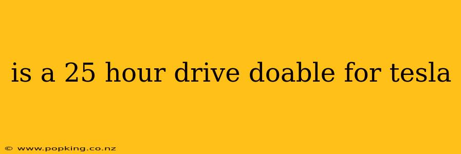 is a 25 hour drive doable for tesla